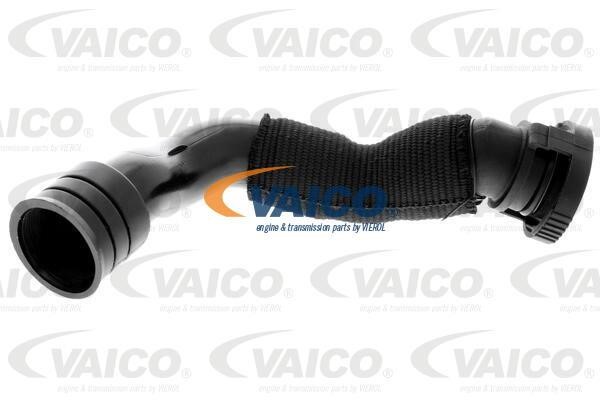 Vaico V104636 Шланг, продування кришки голівки циліндра V104636: Купити в Україні - Добра ціна на EXIST.UA!