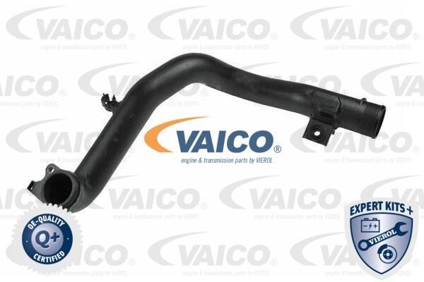 Vaico V240724 Патрубок турбокомпресора V240724: Купити в Україні - Добра ціна на EXIST.UA!