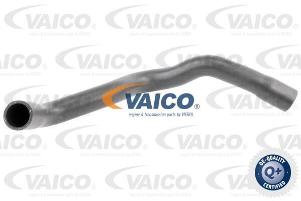 Vaico V203246 Шланг радіатора V203246: Купити в Україні - Добра ціна на EXIST.UA!