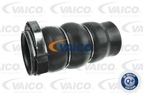 Vaico V420606 Патрубок турбокомпресора V420606: Купити в Україні - Добра ціна на EXIST.UA!