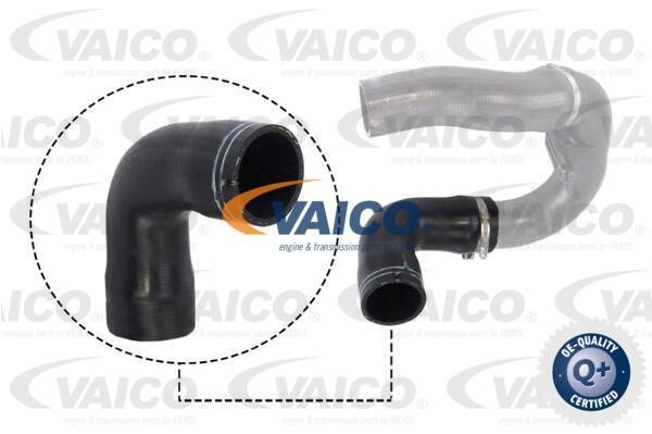 Vaico V240716 Патрубок турбокомпресора V240716: Купити в Україні - Добра ціна на EXIST.UA!