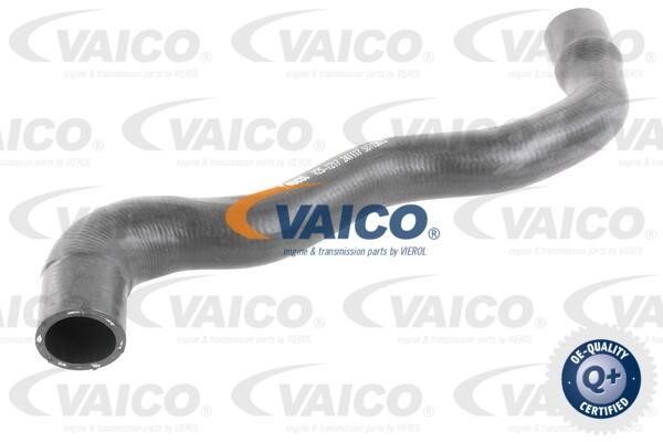 Vaico V251217 Шланг радіатора V251217: Приваблива ціна - Купити в Україні на EXIST.UA!