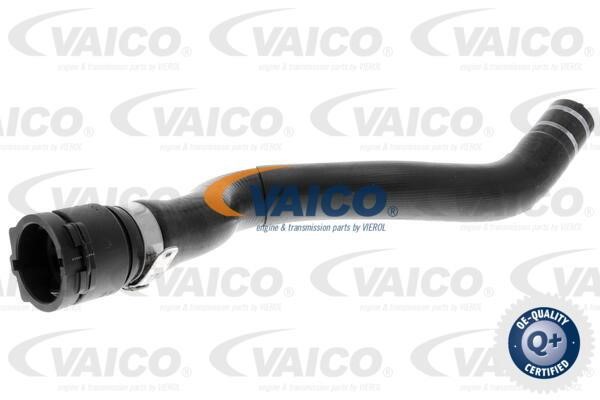 Vaico V240844 Шланг радіатора V240844: Купити в Україні - Добра ціна на EXIST.UA!