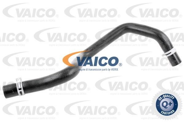 Vaico V251201 Шланг радіатора V251201: Купити в Україні - Добра ціна на EXIST.UA!