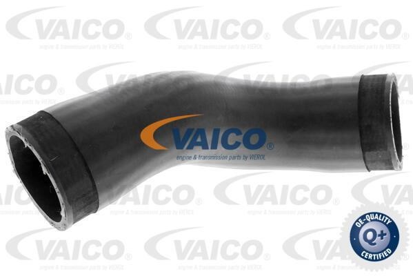 Vaico V104387 Патрубок турбокомпресора V104387: Купити в Україні - Добра ціна на EXIST.UA!