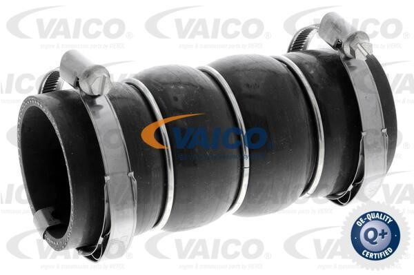 Vaico V420581 Патрубок турбокомпресора V420581: Купити в Україні - Добра ціна на EXIST.UA!