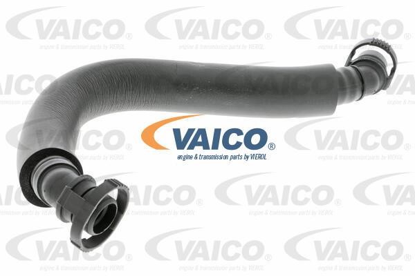 Vaico V104637 Шланг, продування кришки голівки циліндра V104637: Купити в Україні - Добра ціна на EXIST.UA!