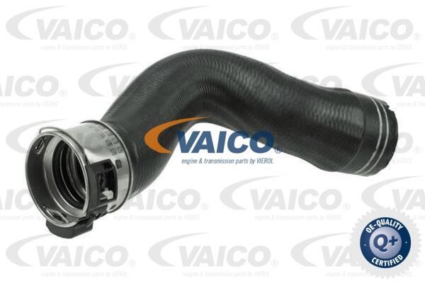 Vaico V240742 Патрубок турбокомпресора V240742: Купити в Україні - Добра ціна на EXIST.UA!