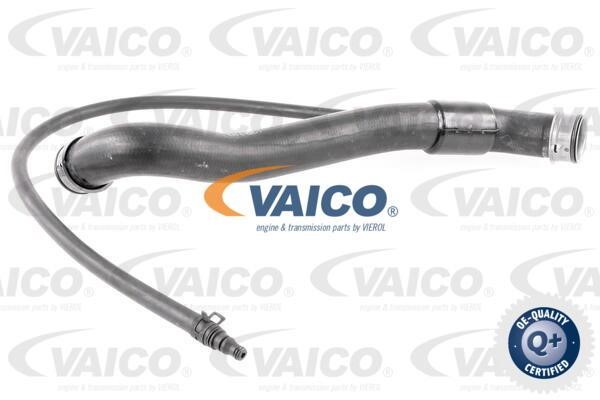 Vaico V303142 Шланг радіатора V303142: Купити в Україні - Добра ціна на EXIST.UA!