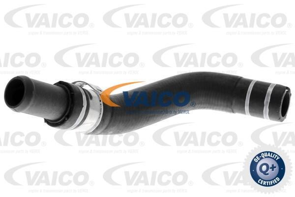 Vaico V240805 Шланг радіатора V240805: Купити в Україні - Добра ціна на EXIST.UA!
