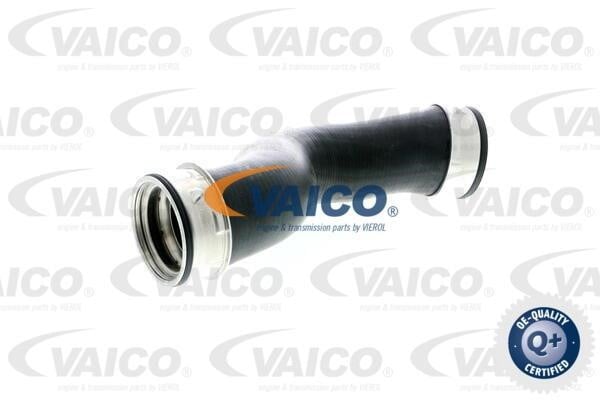 Vaico V104376 Патрубок турбокомпресора V104376: Купити в Україні - Добра ціна на EXIST.UA!
