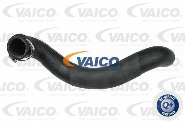 Vaico V401520 Патрубок турбокомпресора V401520: Купити в Україні - Добра ціна на EXIST.UA!