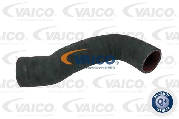 Vaico V950351 Патрубок турбокомпресора V950351: Купити в Україні - Добра ціна на EXIST.UA!