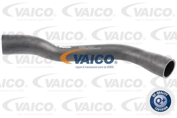 Vaico V401987 Шланг для продування, паливний бак V401987: Купити в Україні - Добра ціна на EXIST.UA!