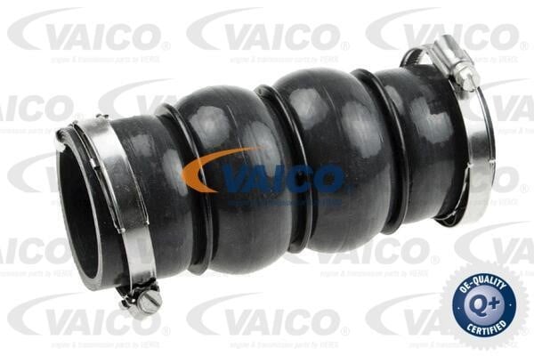 Vaico V420579 Патрубок турбокомпресора V420579: Купити в Україні - Добра ціна на EXIST.UA!