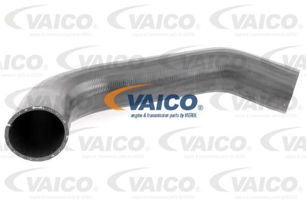 Vaico V420591 Патрубок турбокомпресора V420591: Купити в Україні - Добра ціна на EXIST.UA!