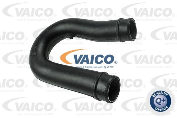 Vaico V401519 Патрубок турбокомпресора V401519: Купити в Україні - Добра ціна на EXIST.UA!