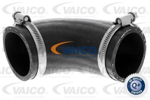 Vaico V251016 Патрубок турбокомпресора V251016: Купити в Україні - Добра ціна на EXIST.UA!