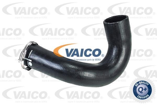 Vaico V420571 Патрубок турбокомпресора V420571: Купити в Україні - Добра ціна на EXIST.UA!