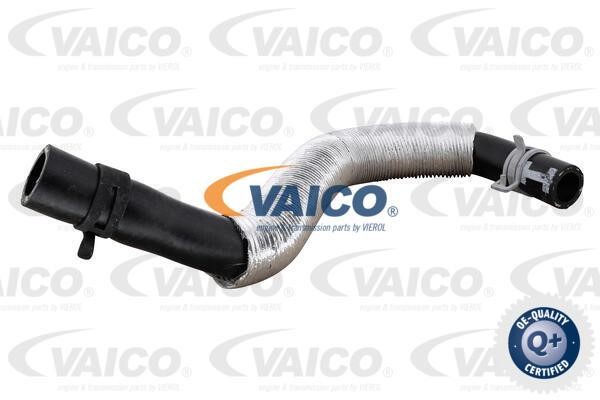 Vaico V251229 Шланг радіатора V251229: Купити в Україні - Добра ціна на EXIST.UA!