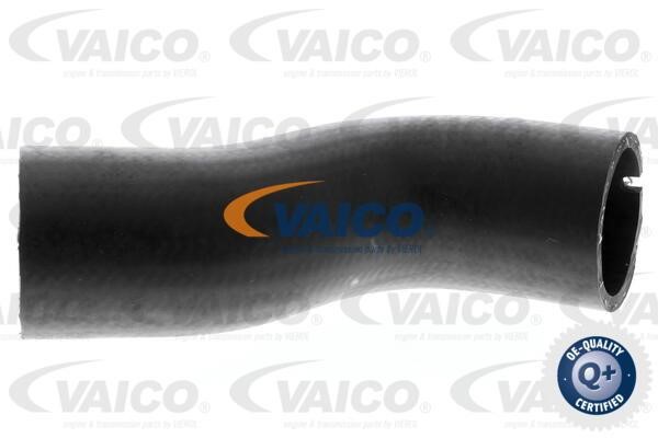 Vaico V240708 Патрубок турбокомпресора V240708: Купити в Україні - Добра ціна на EXIST.UA!