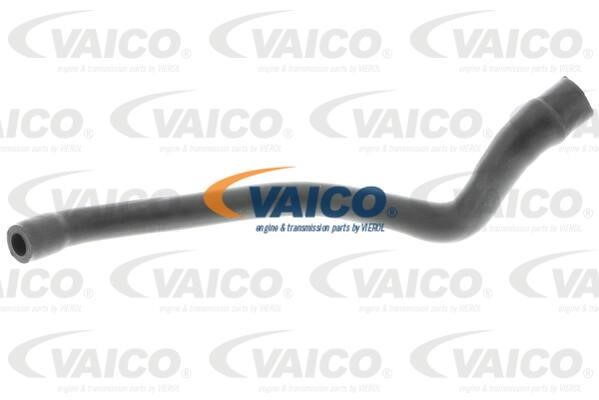 Vaico V302536 Шланг, продування кришки голівки циліндра V302536: Купити в Україні - Добра ціна на EXIST.UA!