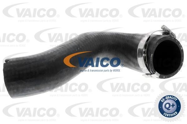 Vaico V401501 Патрубок турбокомпресора V401501: Купити в Україні - Добра ціна на EXIST.UA!
