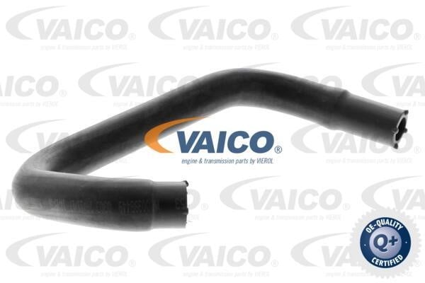 Vaico V251222 Шланг, продування картера V251222: Приваблива ціна - Купити в Україні на EXIST.UA!