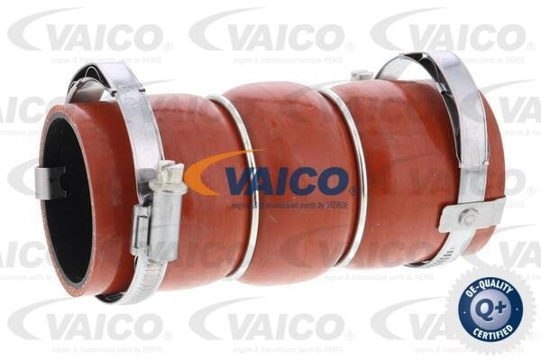 Vaico V420583 Патрубок турбокомпресора V420583: Купити в Україні - Добра ціна на EXIST.UA!