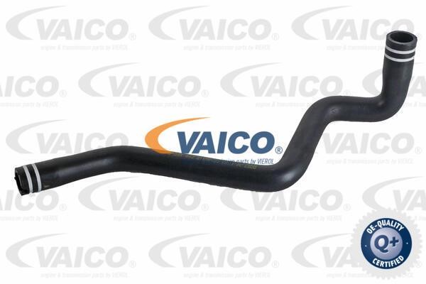 Vaico V240841 Шланг, продування картера V240841: Купити в Україні - Добра ціна на EXIST.UA!