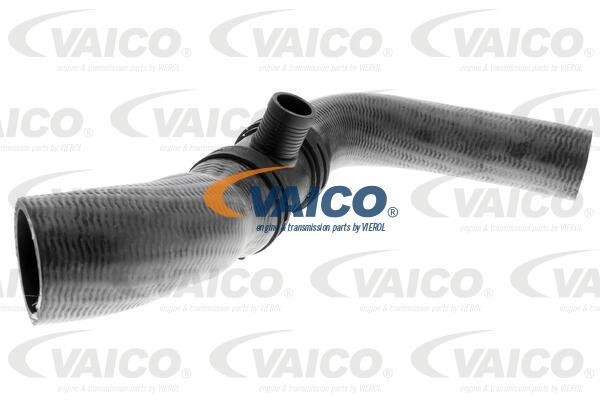 Vaico V480136 Патрубок системи охолодження V480136: Купити в Україні - Добра ціна на EXIST.UA!
