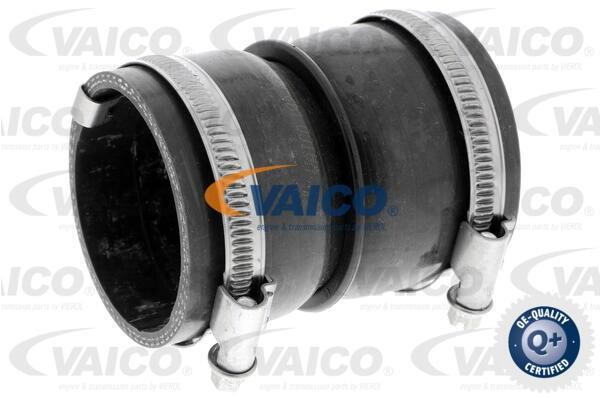 Vaico V420602 Патрубок турбокомпресора V420602: Купити в Україні - Добра ціна на EXIST.UA!