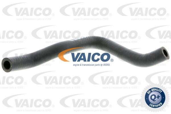 Vaico V104649 Шланг, продування картера V104649: Купити в Україні - Добра ціна на EXIST.UA!