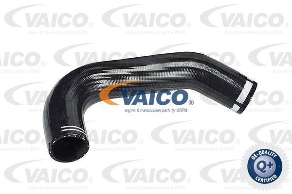 Vaico V420593 Патрубок турбокомпресора V420593: Купити в Україні - Добра ціна на EXIST.UA!