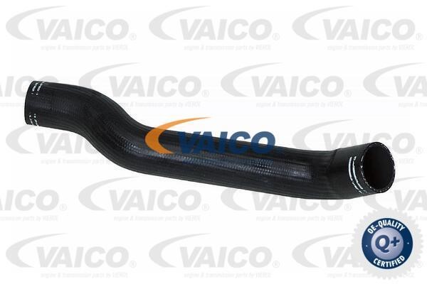 Vaico V240682 Патрубок турбокомпресора V240682: Купити в Україні - Добра ціна на EXIST.UA!