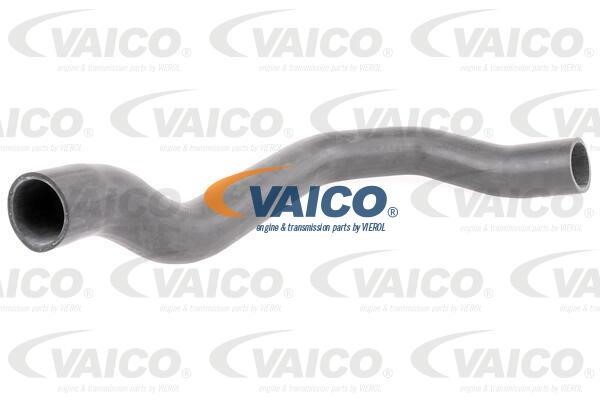 Vaico V420566 Патрубок турбокомпресора V420566: Купити в Україні - Добра ціна на EXIST.UA!
