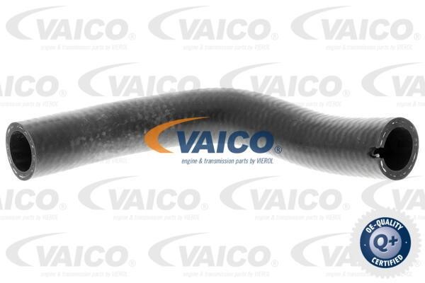 Vaico V240728 Патрубок турбокомпресора V240728: Купити в Україні - Добра ціна на EXIST.UA!