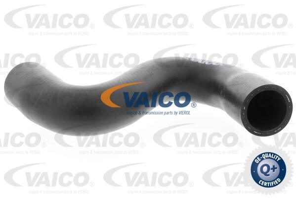 Vaico V420635 Шланг радіатора V420635: Купити в Україні - Добра ціна на EXIST.UA!