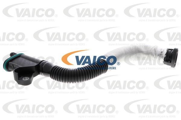Vaico V10-5579 Шланг, продування картера V105579: Купити в Україні - Добра ціна на EXIST.UA!