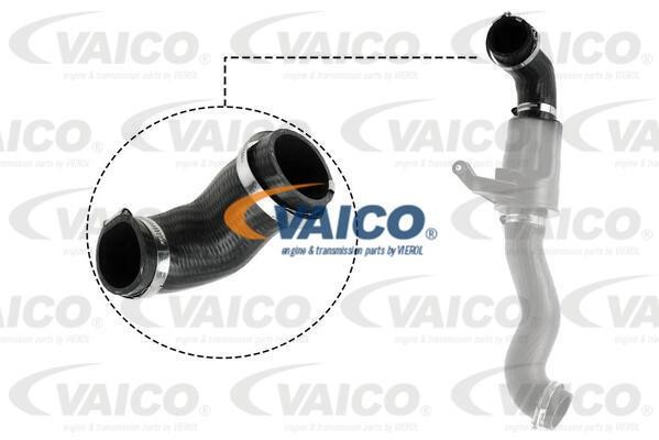 Vaico V20-3626 Шланг радіатора V203626: Купити в Україні - Добра ціна на EXIST.UA!