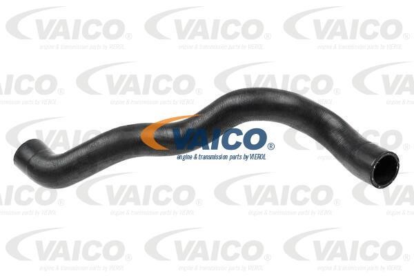 Vaico V40-1602 Шланг радіатора V401602: Купити в Україні - Добра ціна на EXIST.UA!