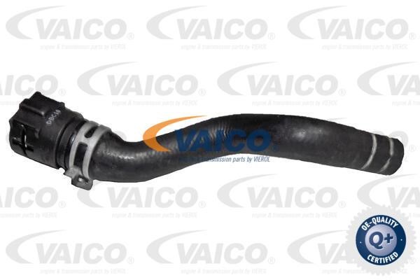 Vaico V240817 Шланг, теплообмінник системи опалення V240817: Купити в Україні - Добра ціна на EXIST.UA!