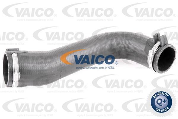 Vaico V420584 Патрубок турбокомпресора V420584: Купити в Україні - Добра ціна на EXIST.UA!