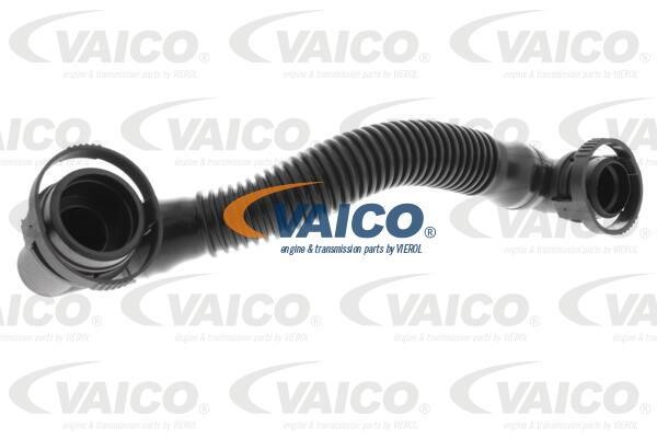 Vaico V10-5460 Шланг, продування картера V105460: Купити в Україні - Добра ціна на EXIST.UA!