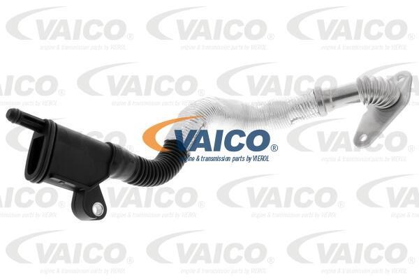 Vaico V10-5459 Шланг, продування картера V105459: Купити в Україні - Добра ціна на EXIST.UA!