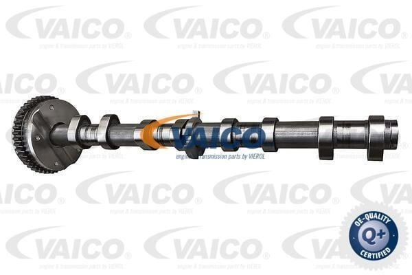 Vaico V10-5584 Регулятор фаз газорозподілу V105584: Купити в Україні - Добра ціна на EXIST.UA!