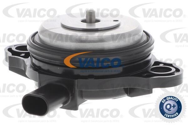 Vaico V20-3666 Центральний магніт, регулювання фаз газорозподілу V203666: Купити в Україні - Добра ціна на EXIST.UA!