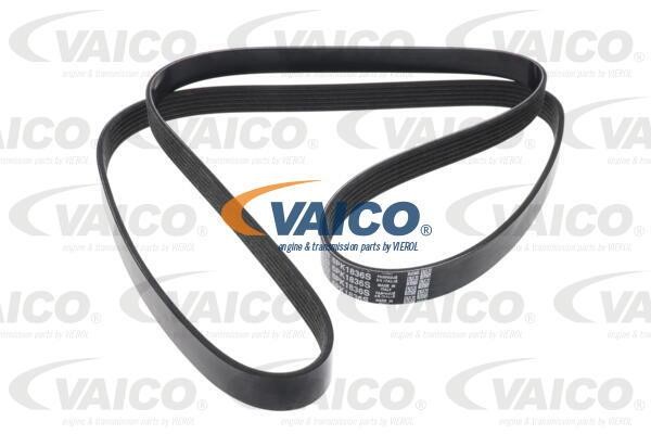 Vaico V20-5111 Ремінь поліклиновий 6PK1835 V205111: Купити в Україні - Добра ціна на EXIST.UA!