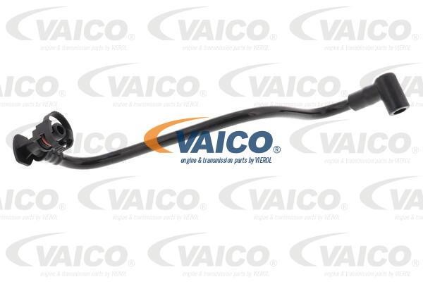 Vaico V10-6642 Шланг, продування картера V106642: Купити в Україні - Добра ціна на EXIST.UA!