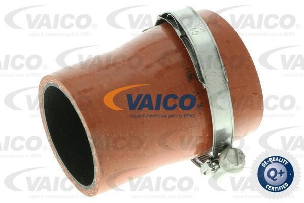 Vaico V251035 Патрубок турбокомпресора V251035: Купити в Україні - Добра ціна на EXIST.UA!